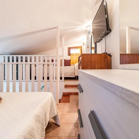 Carlotta * 발레도리아